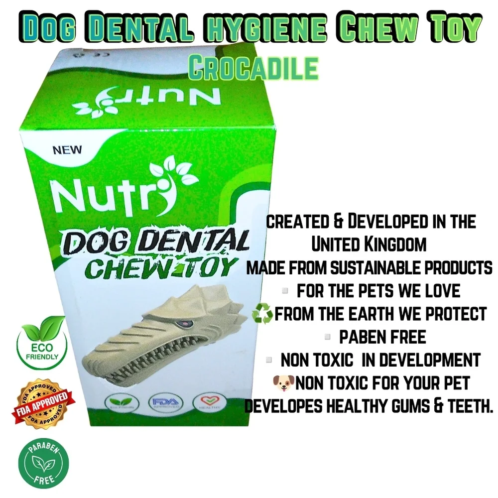 Dog Dental Hygiene Chew Toy With Squeak Medium Large Crocadile Reptile Alligator